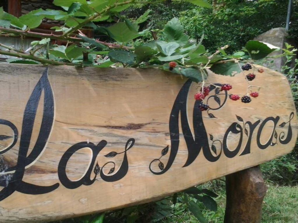 Cabanas Las Moras Tandil Extérieur photo